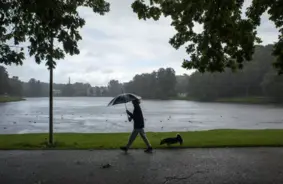 Jūlija vidus Latvijā: Brīvdienu saules pēdas un jaunās nedēļas mākoņainais raksturs
