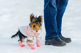 Kā sagatavot mazuli ziemai: padomi apģērba un aksesuāru izvēlei