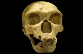 Kas patiesībā iznīcināja neandertāliešus? Jauna kosmiskā teorija saceļ vētru zinātnieku aprindās