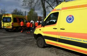 Latvijā trīs cilvēki miruši no leptirozes; kopumā 35 saslimušie