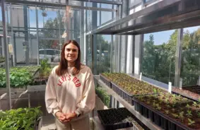 Latvijas Zinātnieku Sensācija: Asinszāle – Neatsverams E Vitamīna Lobumu Avots Vietējai Industrijai