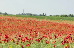 Latviju Pārņem Aizraujošs Karstums: Baudi +30°C Vasaras Svelmi Droši un Pilnvērtīgi!
