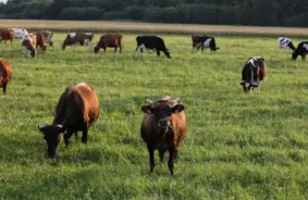 Latviju Trešdien Plosīs Ekstrēmi Laikapstākļi: No +30 Grādiem Līdz Vētrainām Lietusgāzēm