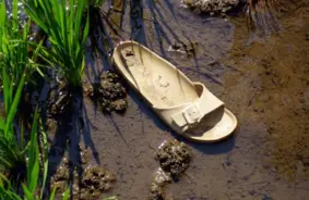 Līvānu upē atrasts mirušais cilvēks, notiek izmeklēšana