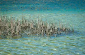 Madonas novadā no ūdenstilpes izcelts bojāgājušais: traģēdija atgādina par ūdens drošības svarīgumu