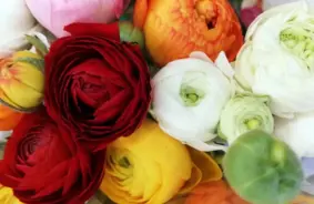 Margarita, Olivers un Antra: Šonedēļ Latvijā godātie vārdi un jaundzimušo tendences