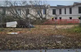 Mārupes dižozola nozāģēšanas lietā uz apsūdzēto sola – bijusī būvvaldes vadītāja