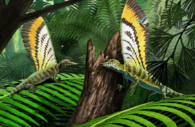 Mirasaurs: noslēpumains senais rāpulis ar unikālu muguras cekulu maina evolūcijas priekšstatus
