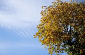 Nedēļas nogalē Latvijā gaidāms saulains, bet dzestrāks laiks