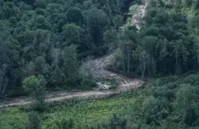 Nemainīgais spiediens: vēl 33 nelegālie migranti mēģina šķērsot Latvijas-Baltkrievijas robežu, šogad kopā jau 7089