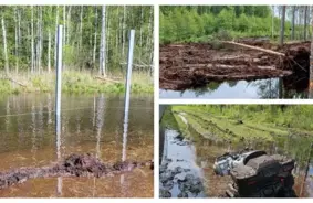 Nerimstošais Lietus Bremsē Austrumu Robežas Izbūvi: Cīņa ar Dabas Stihiju Latgales Purvājos