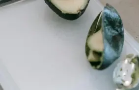 PVD aptur bīstamu sūtījumu: Ķīnas plastmasas dēlīšos atklāj aizliegtu materiālu