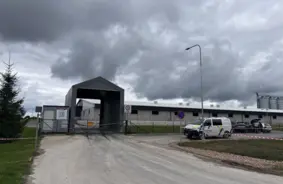 Pabeigta visu cūku likvidācija «Baltic Pork» fermā Āfrikas cūku mēra dēļ