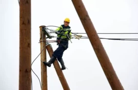 Pēkšņas vēja brāzmas atstāj 5500 "Sadales tīkla" klientus visā Latvijā bez elektrības: operatīvie dienesti strādā pastiprinātā režīmā