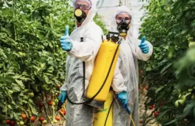 Pesticīdi atņem lauksaimniekiem miegu un veselību: globālas aptaujas un stindzinošas liecības