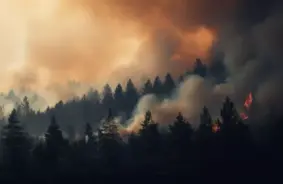 Pireneju pussalu plosa meža ugunsgrēki: tūkstošiem ugunsdzēsēju sīvā cīņā ar stihiju