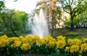 Pirmdiena Latvijā: Vasarīgs Siltums un Brīdinājums par Pērkona Negaidītiem Dārdiem