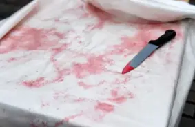 Remontstrādnieks tiesas priekšā par Jūrmalā pastrādāto šaušalīgo slepkavību un līķa apgānīšanu