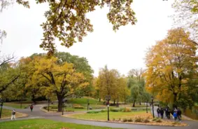 Rudens klāt: Sinoptiķi brīdina par krasiem laikapstākļu mainīšanos brīvdienās Latvijā