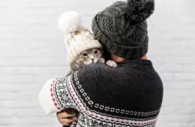 Rudens risks mīluļiem: kā pasargāt savu četrkājaino draugu?