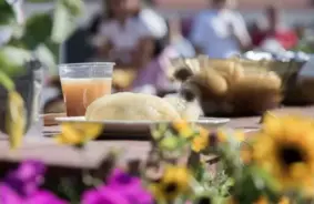 Rudens svētki Pakrojas muižā: Cepelīni, amatnieki un sievu nešanas sacensības gaidāmi jau šajā nedēļas nogalē!