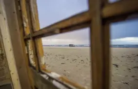 Satraucošs trauksmes zvans Liepājas pludmalē: Desmitiem mirušu putnu atgādina par dabas trauslumu