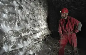 Šausmu filmas scenārijs realitātē: zinātnieki atklāj pazemes 'pilsētu', ko apdzīvo 100 000 zirnekļu