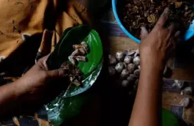 Senie taizemieši 4000 gadu senā pagātnē lietojuši psihoaktīvas vielas: atklājums zobu aplikumā