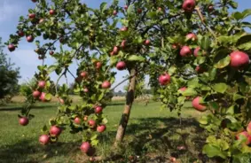 Sestdien Latvijā bez būtiskiem nokrišņiem, gaidāms saulains un silts laiks