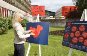 Sirds veselības paradoksi: Kāpēc Latvijas iedzīvotāji atturas mainīt dzīvesveidu, un kā to mainīt?