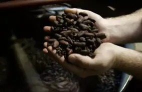 Šokolādes cenas Eiropā nerimstas kāpt: Kakao tirgus atelpa patērētājiem vēl nav jūtama