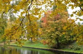 Šovakar iestājas astronomiskais rudens: laiks baudīt krāšņas pārmaiņas un omulīgus vakarus