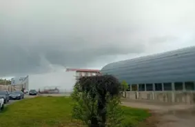 Traģēdija Sauleskalnā: Četri stārķēni gājuši bojā zem sabrukušas ligzdas, raisot jautājumus par nenovērstiem riskiem