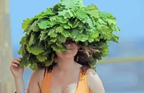 Vai Lietus Mērcēs Jāņus? Sinoptiķi Atklāj Mainīgus Laika Apstākļus Svētkos