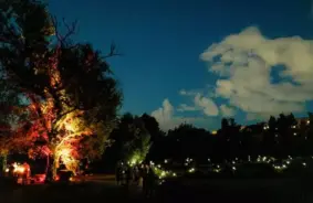 Vairāk nekā 750 skatītāju LU Botāniskajā dārzā vēroja iespaidīgo Perseīdu zvaigžņu lietu