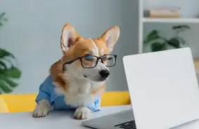 Valdis Pusvācietis iecelts Valsts digitālās attīstības aģentūras direktora amatā