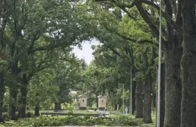 Valmieru pāršalkusi postošā jūlija vētra: Nolauzti koki, applūdušas ielas un pilsētas nerimtīgais cīņas gars