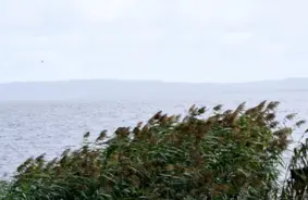 Vēju Dejā Apmīļota, Sausuma Veldzē Ieskauta: Svētdiena, 29. Jūnijs, Dāvā Vasaras Atspirdzinājumu Latvijā