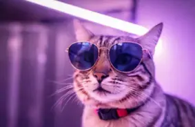 Zinātnieki izmanto UV gaismu, lai neitralizētu alergēnus gaisā: cerība alerģijas un astmas slimniekiem