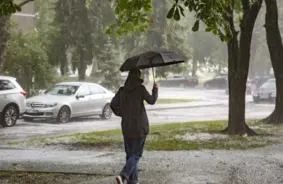 Zinību dienā Latvijā dominēs vasarīgs siltums, bet dažviet lietus maigais pieskāriens atgādinās par rudens iestāšanos