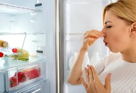 15 veidi, kā likvidēt ledusskapja smakas dabiskā ceļā – bez ķīmijas un uz visiem laikiem
