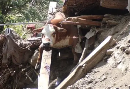 Afganistānu satricina jauna spēcīga zemestrīce, palielinot postījumu un ciešanu apmērus