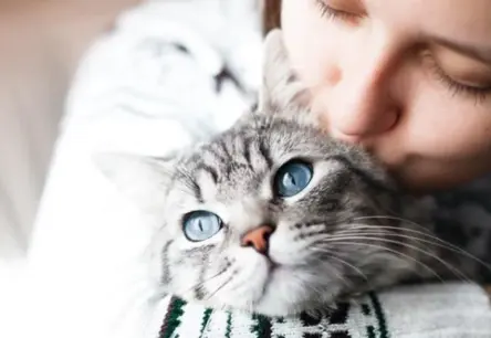 Ailurofilija nav tikai mīlestība pret kaķiem – tā var būt pat nopietna diagnoze