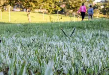 Aizvadīta aukstākā nakts šajā vasarā: Ziemeļvidzemē manīta salna un agrīnā rudens elpa