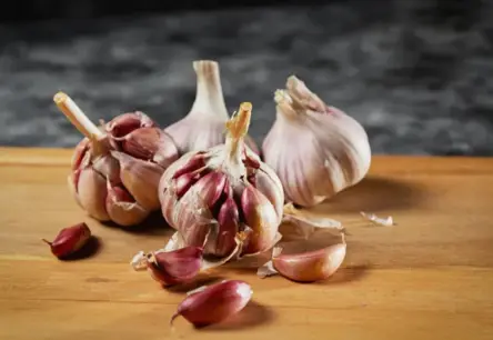 Ārsti kliedē mītu: Kāpēc ķiploku kaklarotas pret saaukstēšanos ir bezjēdzīgas?