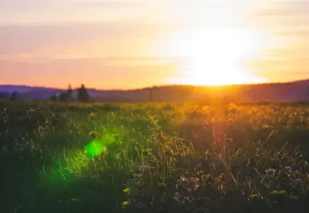 Augusta skumjas: Kāpēc vasaras beigas raisa melanholiju un kā atgūt sirds mieru?
