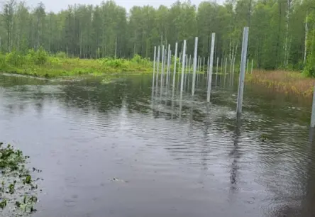 Austrumu robežas izbūvi kavē nepieredzēti nokrišņu rekordi: Latgales purvi kļūst par valsts drošības pārbaudījumu