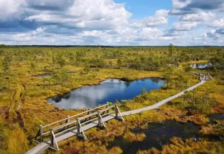 Auto novietošana pie Lielā Ķemeru tīreļa kļuvusi nesamērīgi dārga, radot plašas diskusijas sabiedrībā