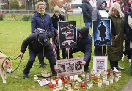 Bauskā piketā pieprasa deputātu iesaisti suņu nošaušanas lietā