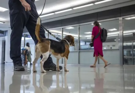 Beidzot atvieglojums ceļotājiem: asv lidostās atceļ 20 gadus senu apavu novilkšanas prasību